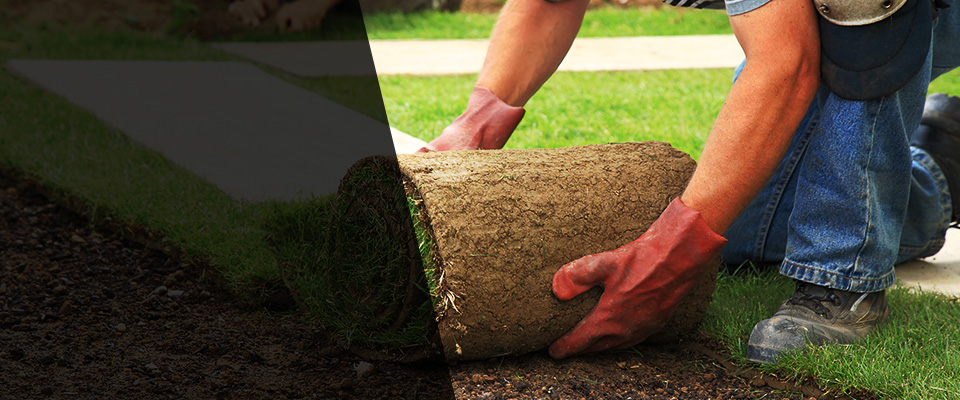 Christiana Landscapers